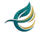 Ebelsha
